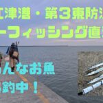 人気の管理釣り場は凄かった！【ハッピーフィッシング直江津】【直江津港第3東防波堤】