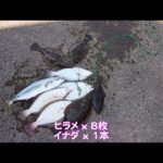 【直江津港第3東防波堤管理釣り場/直江津ハッピーフィッシング】ヒラメ釣り 2024年 8月上旬