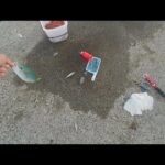 【直江津港第3東防波堤管理釣り場/直江津ハッピーフィッシング】泳がせ釣り 2025年 9月下旬