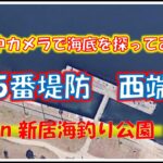 新居海釣り公園　5番堤防　海底調査！浜名湖　釣り