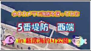 新居海釣り公園　5番堤防　海底調査！浜名湖　釣り