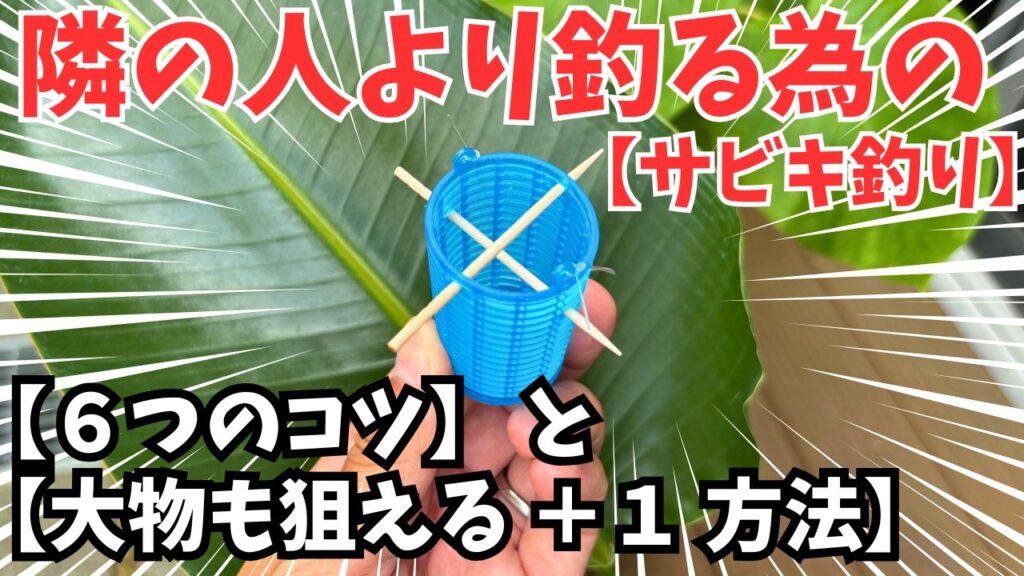 【釣れる】サビキ釣りのコツ6【大物狙う】+1