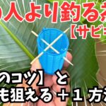 【釣れる】サビキ釣りのコツ6【大物狙う】+1