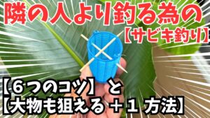 【釣れる】サビキ釣りのコツ6【大物狙う】+1