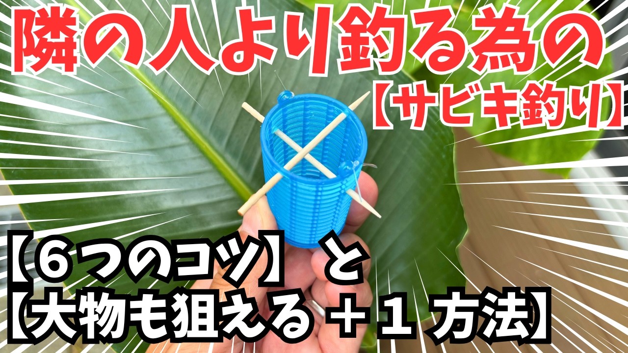 【釣れる】サビキ釣りのコツ6【大物狙う】+1