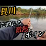 #66（関東バス釣り）減水した小貝川の超激熱ポイント！1投目で簡単に釣れる！ここは凄い！