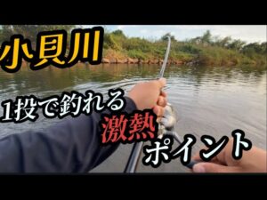 #66（関東バス釣り）減水した小貝川の超激熱ポイント！1投目で簡単に釣れる！ここは凄い！