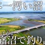 7年間も日本一汚い沼と格付けされた［印旛沼］で釣りをしてみると招かれざる大物の巣窟状態でした…