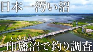 7年間も日本一汚い沼と格付けされた［印旛沼］で釣りをしてみると招かれざる大物の巣窟状態でした…