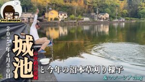 昨年見つけた隠れ釣り場御園で釣りできず城池へ｜令和7年 沼本草刈りの様子【GW釣り旅③】