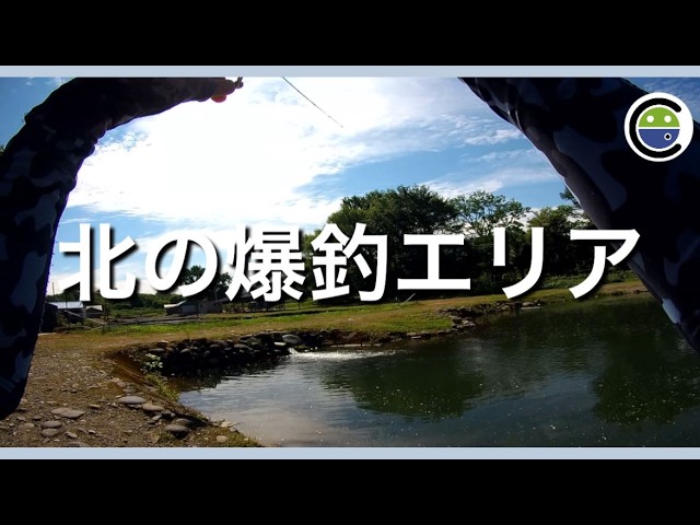 意外と爆釣✨北のエリアは真夏でも70匹以上釣れて最高でした【エリアトラウト】【管理釣り場】【パワーフィールド釣り堀あかし】