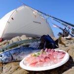 【72時間耐久】3泊4日無人島で孤独の大物釣りサバイバル開始【#1】