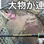 【管理釣り場攻略】80アップが釣れるユーランド清水川。メタルバイブで連発！【エリアトラウト】