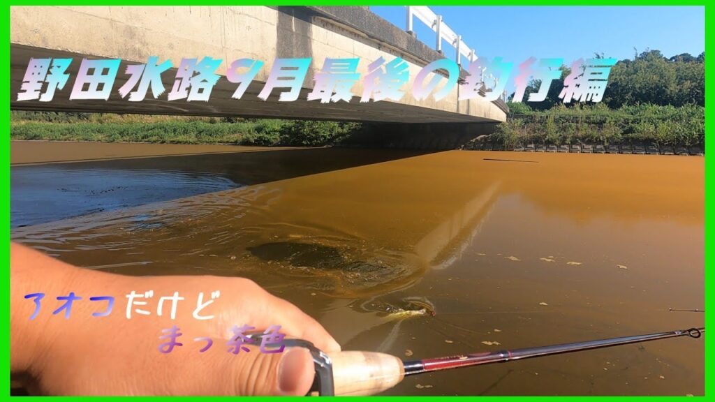 【バス釣り】9月の野田水路でバスを狙う！はたして・・　おまけ付き　#バス釣り   #トップウォーター