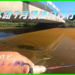 【バス釣り】9月の野田水路でバスを狙う！はたして・・　おまけ付き　#バス釣り   #トップウォーター