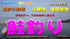 【釣り 北海道】 鮭釣り第9戦 久々の日本海! 小樽港 美国漁港