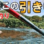 本流竿がいとも簡単にひん曲がる川でニジマス釣り（9月下旬）