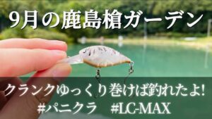 9月の鹿島槍ガーデンはクランクゆっくり巻けば釣れたよ！【エリアトラウト】【管理釣り場】【鹿島槍ガーデン】【クランク】