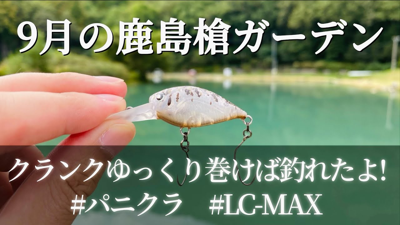 9月の鹿島槍ガーデンはクランクゆっくり巻けば釣れたよ！【エリアトラウト】【管理釣り場】【鹿島槍ガーデン】【クランク】