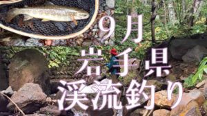渓流釣りに3年ぶりくらいに行きました。9月。岩手県。
