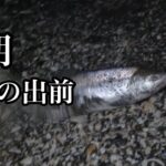 【北海道オホーツク海鮭釣り】暗闇の中ぶっ込みで鮭を釣る 今時期にしては9月並みの銀ピカさん達🎣