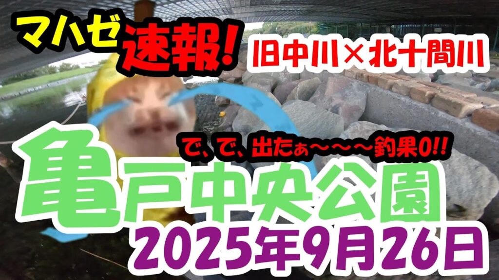 【ハゼ釣り】釣り部!#91 マハゼ速報!【亀戸中央公園】