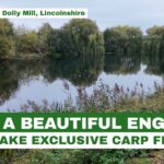 A walk around the beautiful Dolly Mill fishery, Lincolnshire