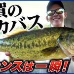 【バス釣り】遠賀川『AKチャター』で一瞬のチャンスをものにする！佐藤リョーキ【釣り時季】