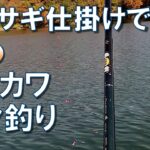 【オカッパリ】ワカサギ仕掛けで狙う秋のオイカワ･ハヤ釣り【紅葉の湖】AUTUMN FISHING【山梨県島田湖】