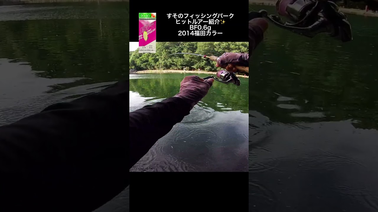 BF0.6g【すそのフィッシングパーク】#shorts #fishing #釣り#管理釣り場 #エリアトラウト