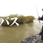 菊元俊文の利根川攻略、台風直後の増水、濁りなどをどう攻めるのか？ 『BIG BITE 149』【釣りビジョン】