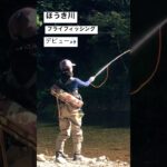 【渓流釣り　ほうき川】フライフィッシングデビュー❗️🎣　C&R #shorts #箒川 #渓流釣り#flyfishing