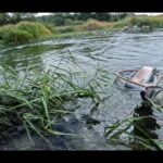 【鳴子峡・荒雄川】C&R特別遊漁期間の渓流釣り。50cmクラスのニジマスがヒットで竿がぶち曲がる…【宮城県】