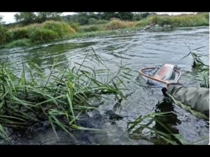【鳴子峡・荒雄川】C&R特別遊漁期間の渓流釣り。50cmクラスのニジマスがヒットで竿がぶち曲がる…【宮城県】