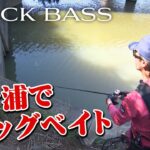 佐々木勝也がビッグベイトを軸に霞ヶ浦を攻略！厳しい制限の中でデカバスを狙う 『Dz BASS 10』【釣りビジョン】