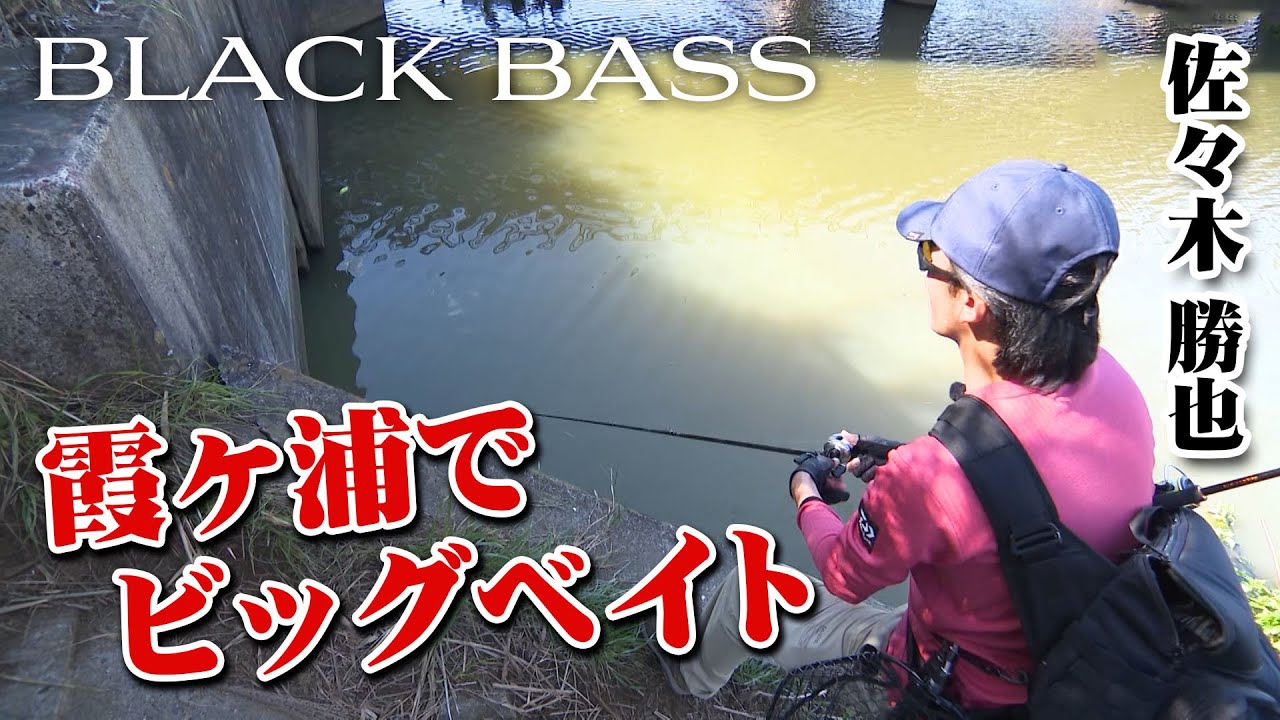 佐々木勝也がビッグベイトを軸に霞ヶ浦を攻略!厳しい制限の中でデカバスを狙う 『Dz BASS 10』【釣りビジョン】