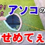 アナに竿を突っ込んだら？【埼玉県越谷市】【Fishing Girl | Best Fishing Video】