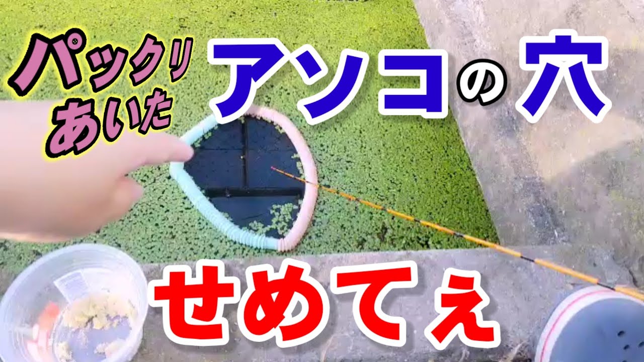 アナに竿を突っ込んだら?【埼玉県越谷市】【Fishing Girl | Best Fishing Video】