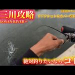 【バス釣り】五三川攻略！絶対釣りたいならコレ！リアクション＆カバー撃ちGAME炸裂！