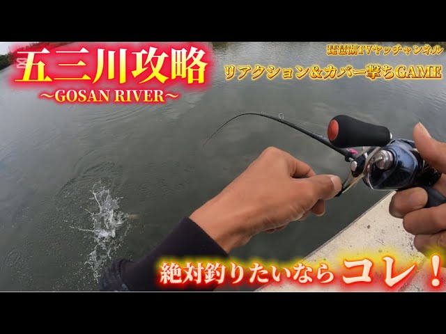 【バス釣り】五三川攻略!絶対釣りたいならコレ!リアクション&カバー撃ちGAME炸裂!