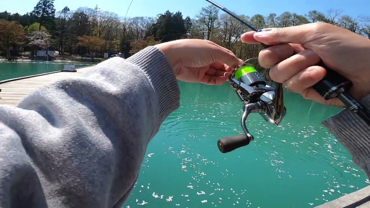 【休日の】管理釣り場へGO【エリアトラウト】