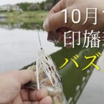 印旛沼　印旛新川バス釣り　ノリーズ　ボルケーノIIバイトサイズ　初バズベイト2025.10.12