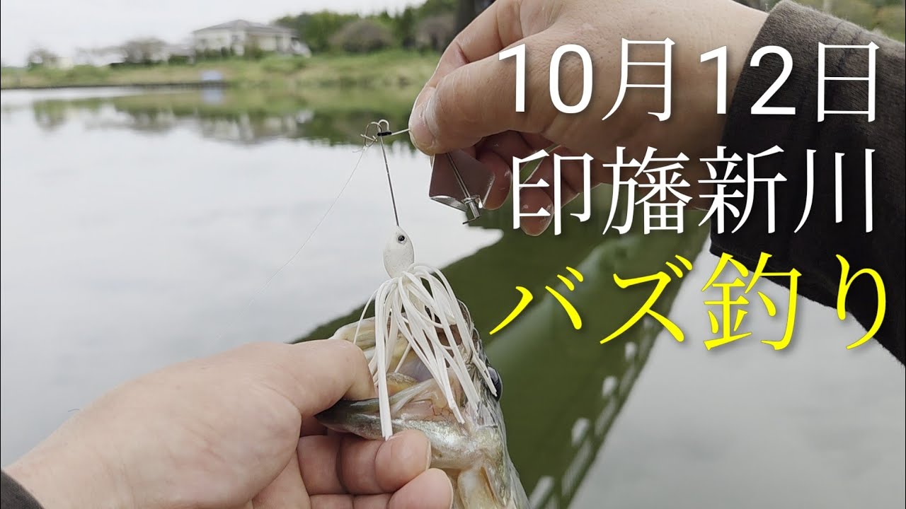印旛沼　印旛新川バス釣り　ノリーズ　ボルケーノIIバイトサイズ　初バズベイト2025.10.12