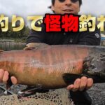 管理釣り場に怪物がいた。【エリアトラウト】IN川場フィッシングプラザ