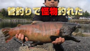 管理釣り場に怪物がいた。【エリアトラウト】IN川場フィッシングプラザ