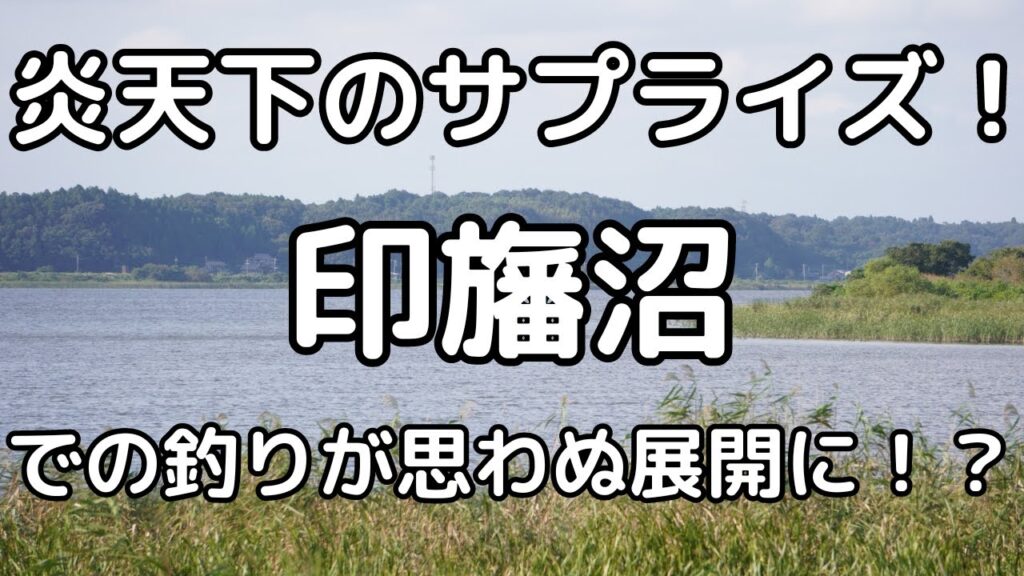 炎天下のサプライズ！印旛沼での釣りが思わぬ展開に！？　Japanese short stories about fishing