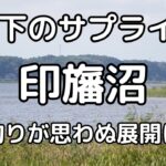 炎天下のサプライズ！印旛沼での釣りが思わぬ展開に！？　Japanese short stories about fishing