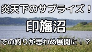 炎天下のサプライズ！印旛沼での釣りが思わぬ展開に！？　Japanese short stories about fishing