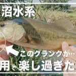 このクランクが手賀沼水系で最高の仕事をしてくれる【RAID JAPAN】