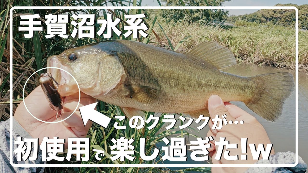 このクランクが手賀沼水系で最高の仕事をしてくれる【RAID JAPAN】